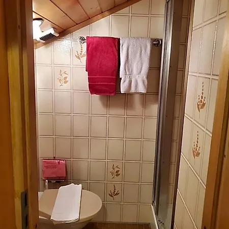 Hotel Garni Alpenruh Lenk im Simmental