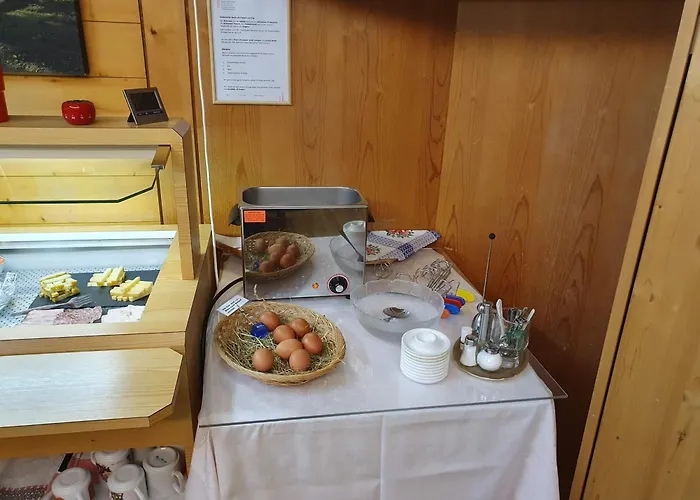 Garni Alpenruh 2* 렌크