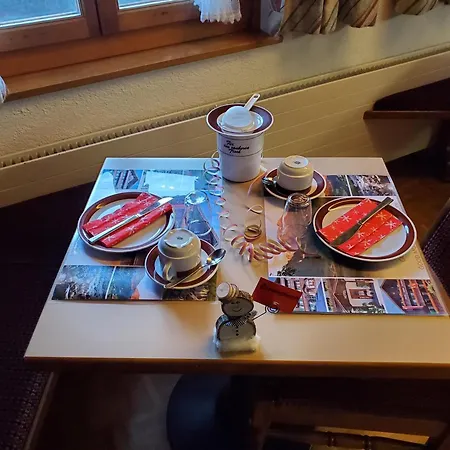 Garni Alpenruh 2* Lenk