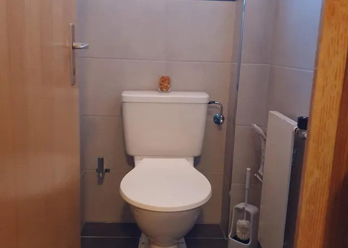 Garni Alpenruh 2* Lenk